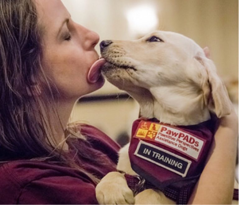 “Woman holds a vest-wearing, in-training assistance dog from PawPADs.