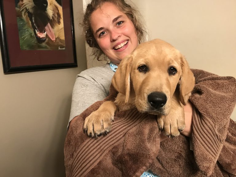 A woman smiles at the camera while holding a golden retriever puppy wrapped in a brown towel. A framed painting of a dog is on the wall behind them.